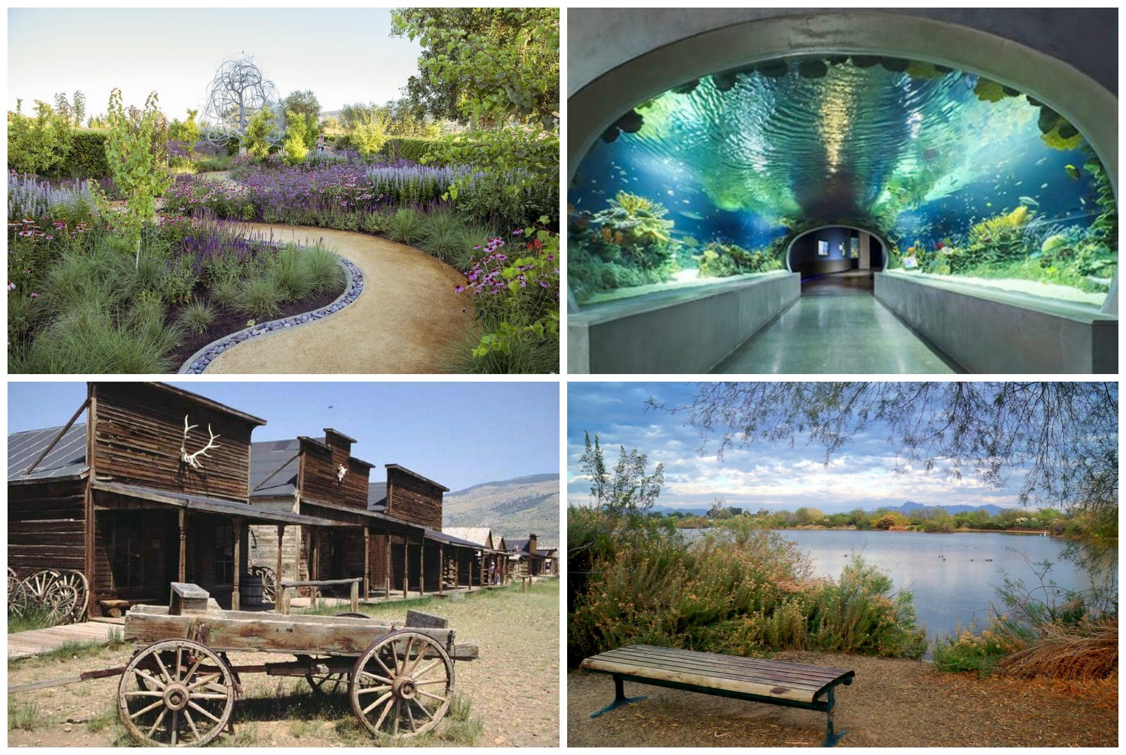 The Best Places to Visit In Phoenix Arizona with Kids 