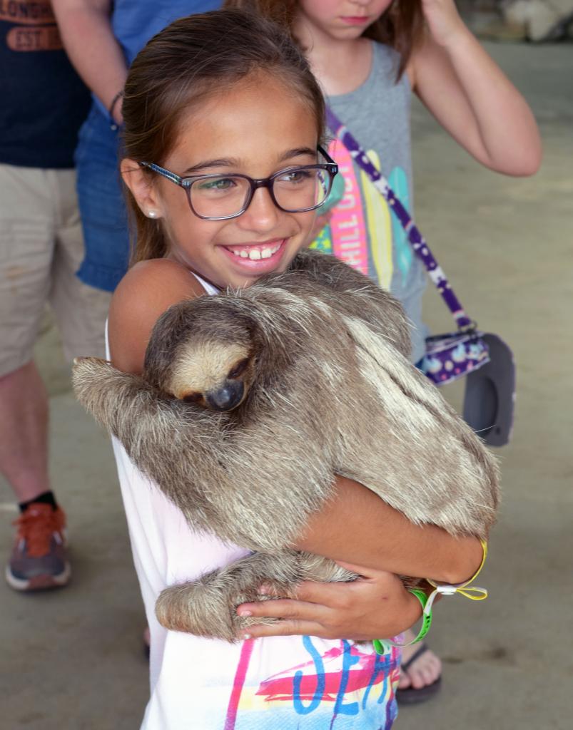 Daniel Johnson's Monkey and Sloth Hang Out