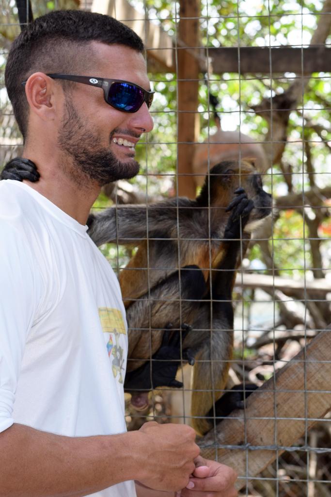 Daniel Johnson's Monkey and Sloth Hang Out