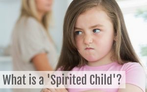 What is a Spirited Child?
