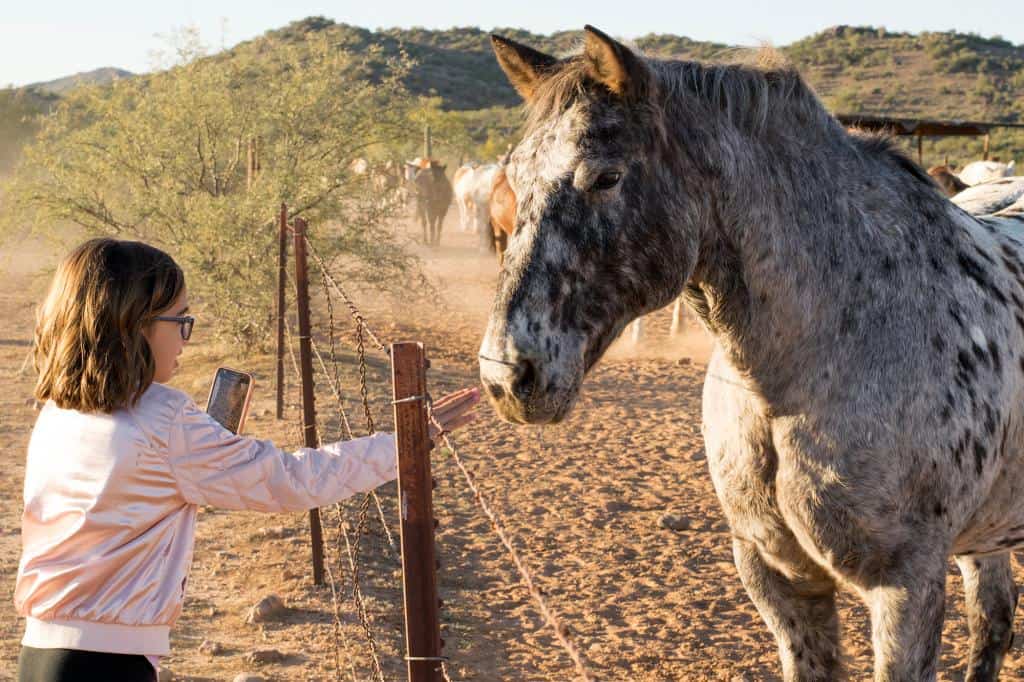 arizona dude ranch