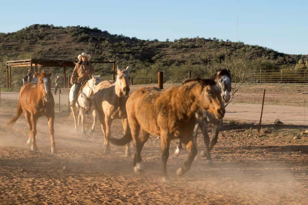 arizona dude ranch