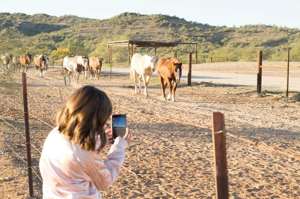 arizona dude ranch