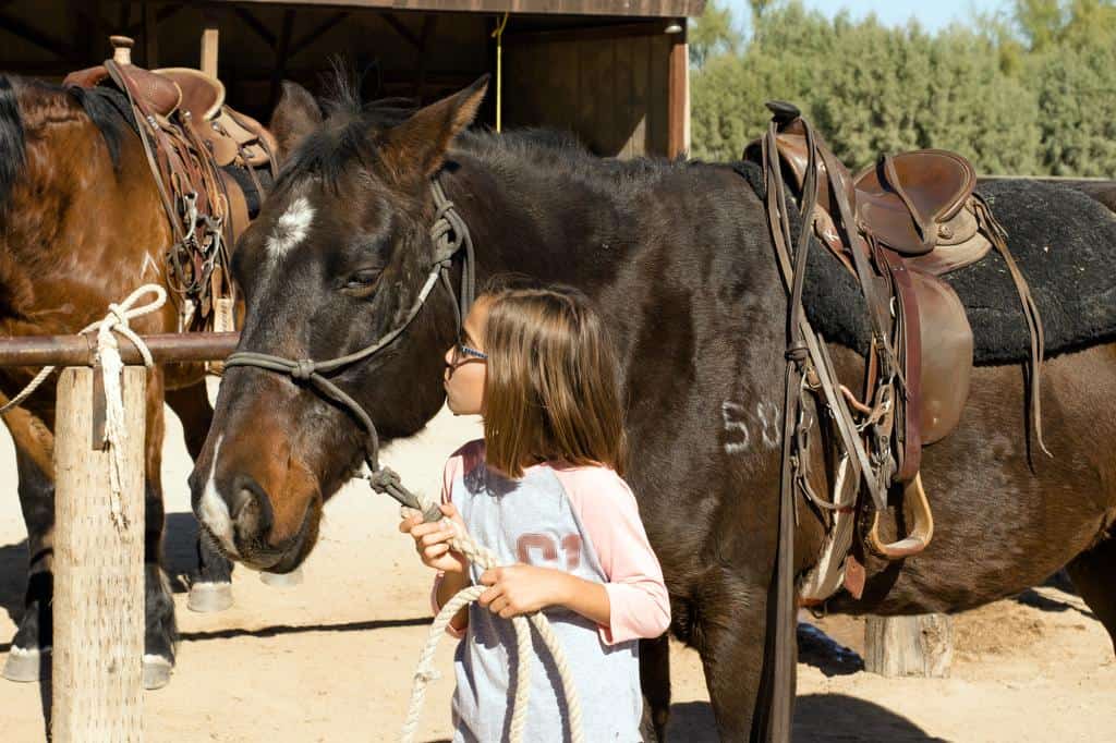 arizona dude ranch