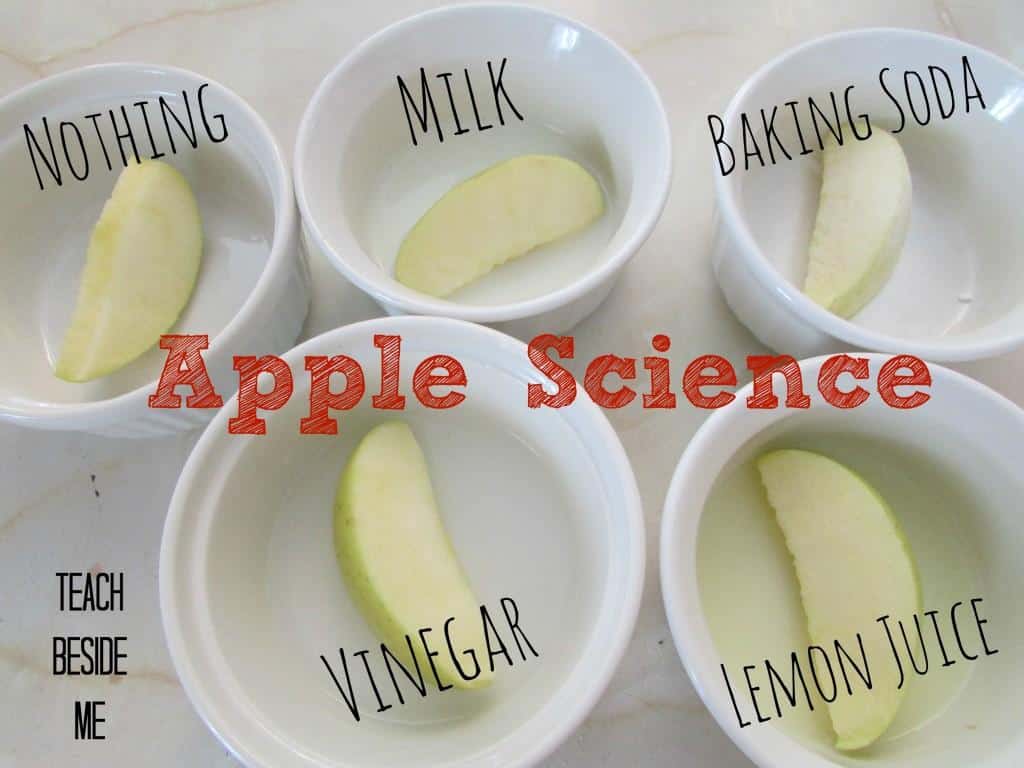 middle school science fair project ideas. Fun and easy experiment ideas for school.