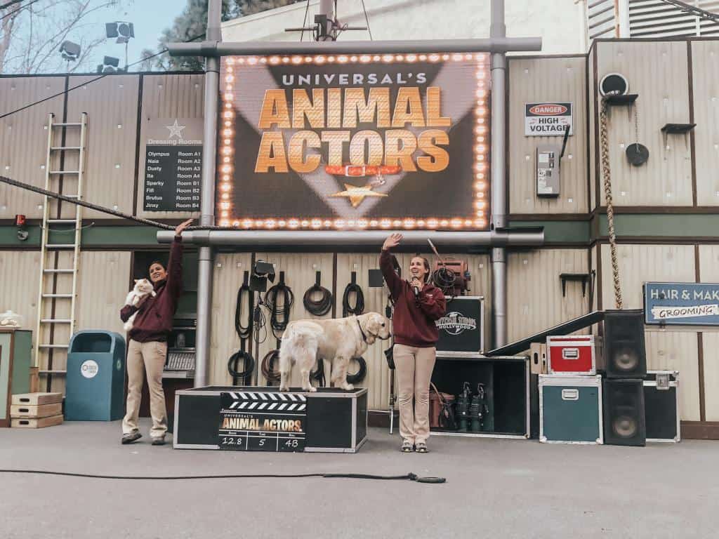 Universal Studios Hollywood, planning a day at Universal Studios, things to know before you go, tips and secrets, best rides, food, exrpress pass ticket, where to stay, California, complete guide