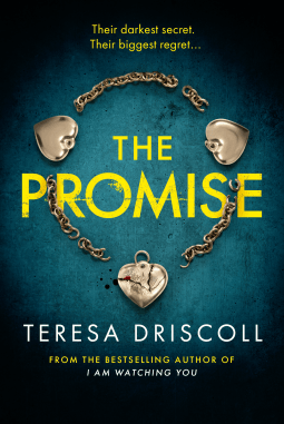 The promise by Teresa Driscoll
