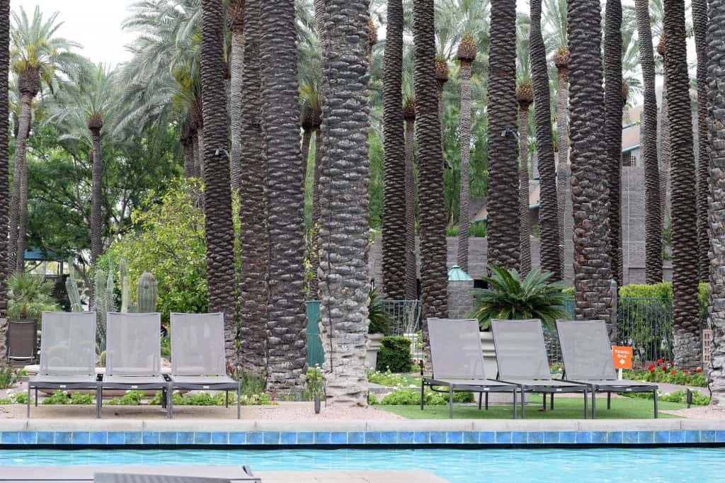 lunge chairs at Hyatt scottsdale