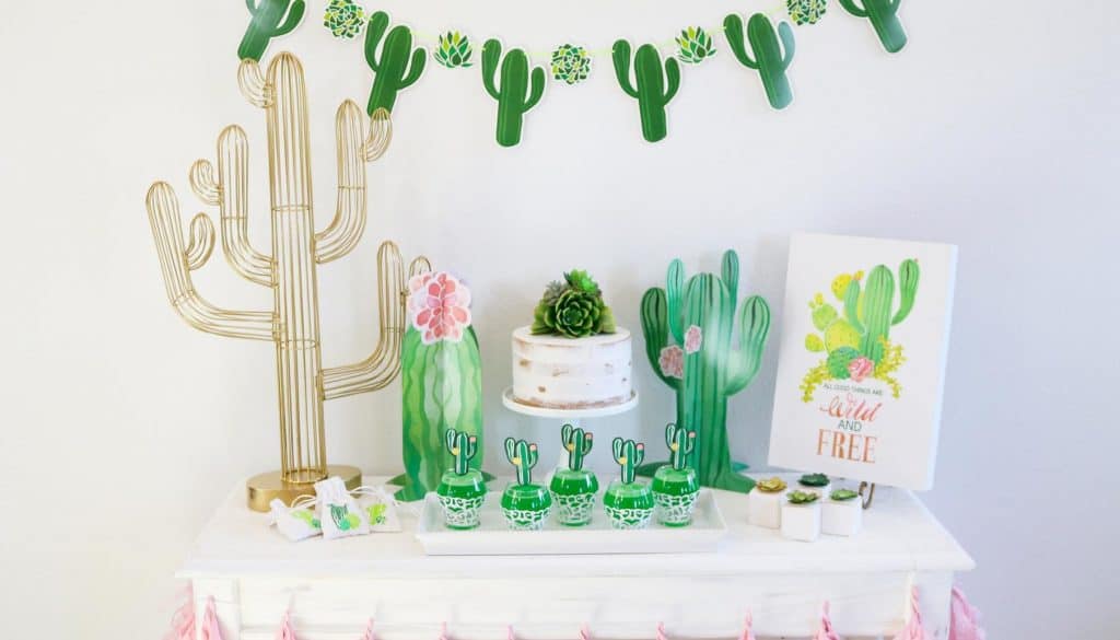 cactus baby shower themes