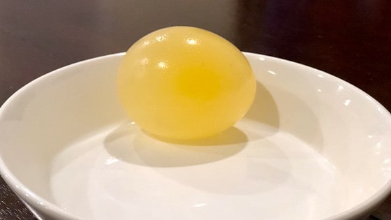 bouncy egg experiment